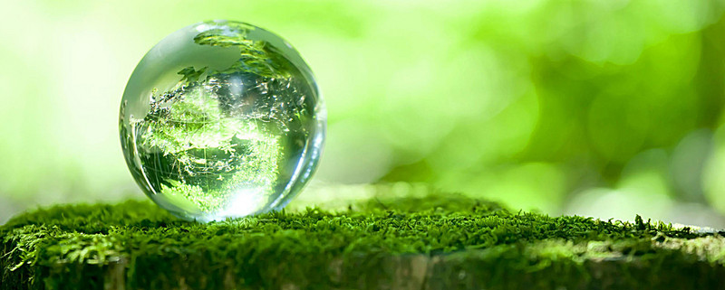 Paisaje natural utilizado como imagen institucional de Gixtoh Consolidated